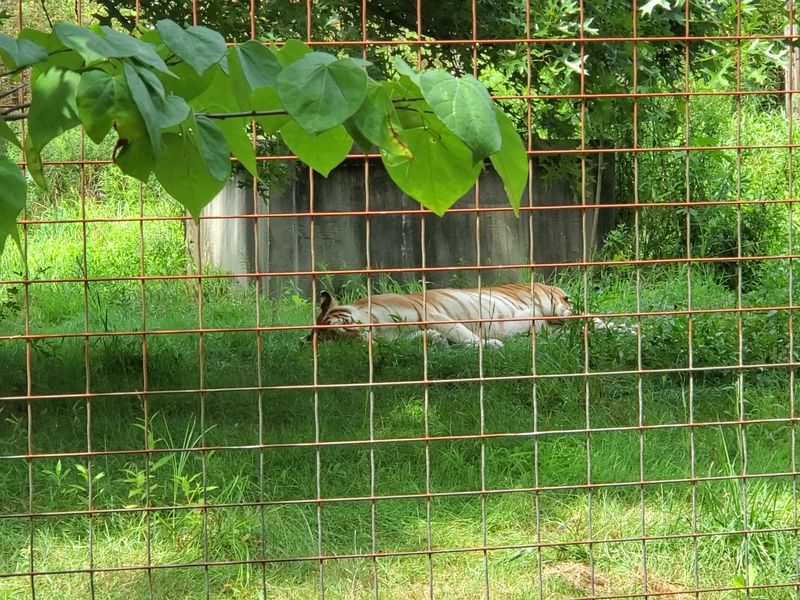 Supporting the Sanctuary's Future