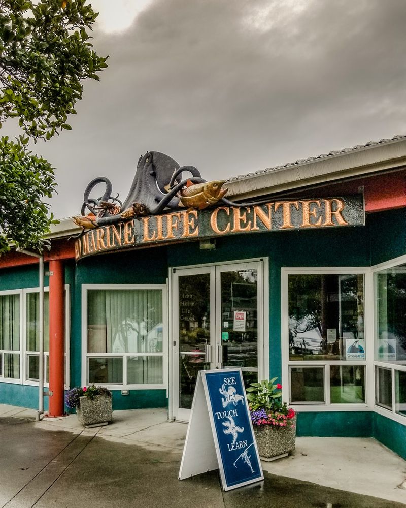 Feiro Marine Life Center