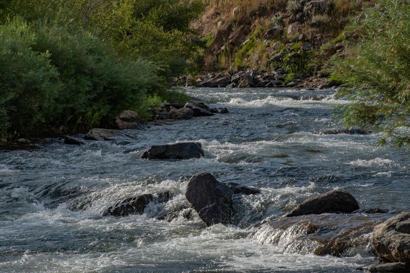 Felch Creek Area