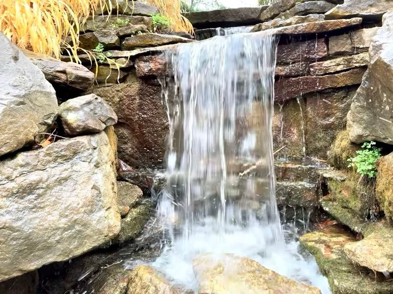 Inniswood Metro Gardens, Westerville, OH