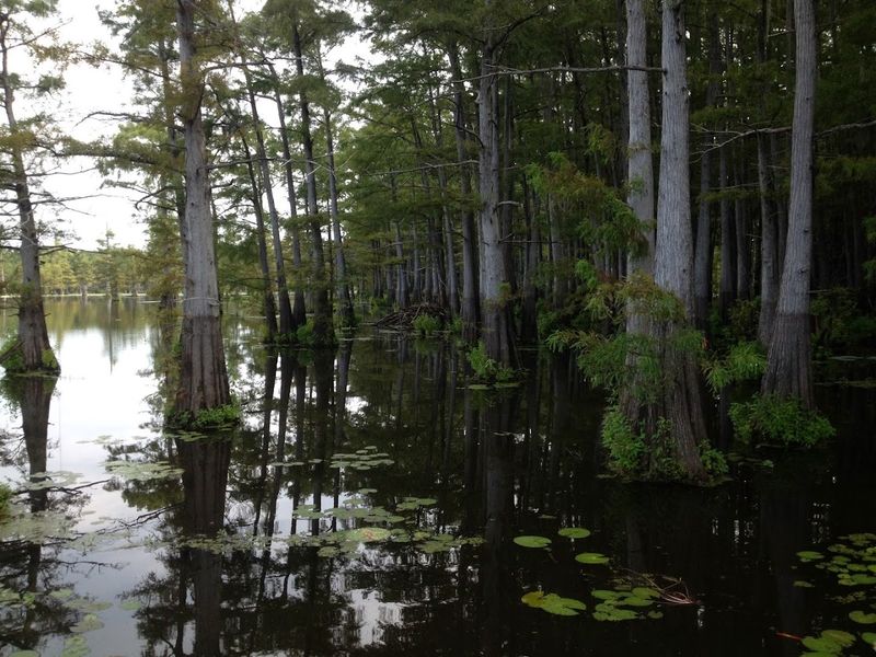 Felsenthal National Wildlife Refuge, Crossett