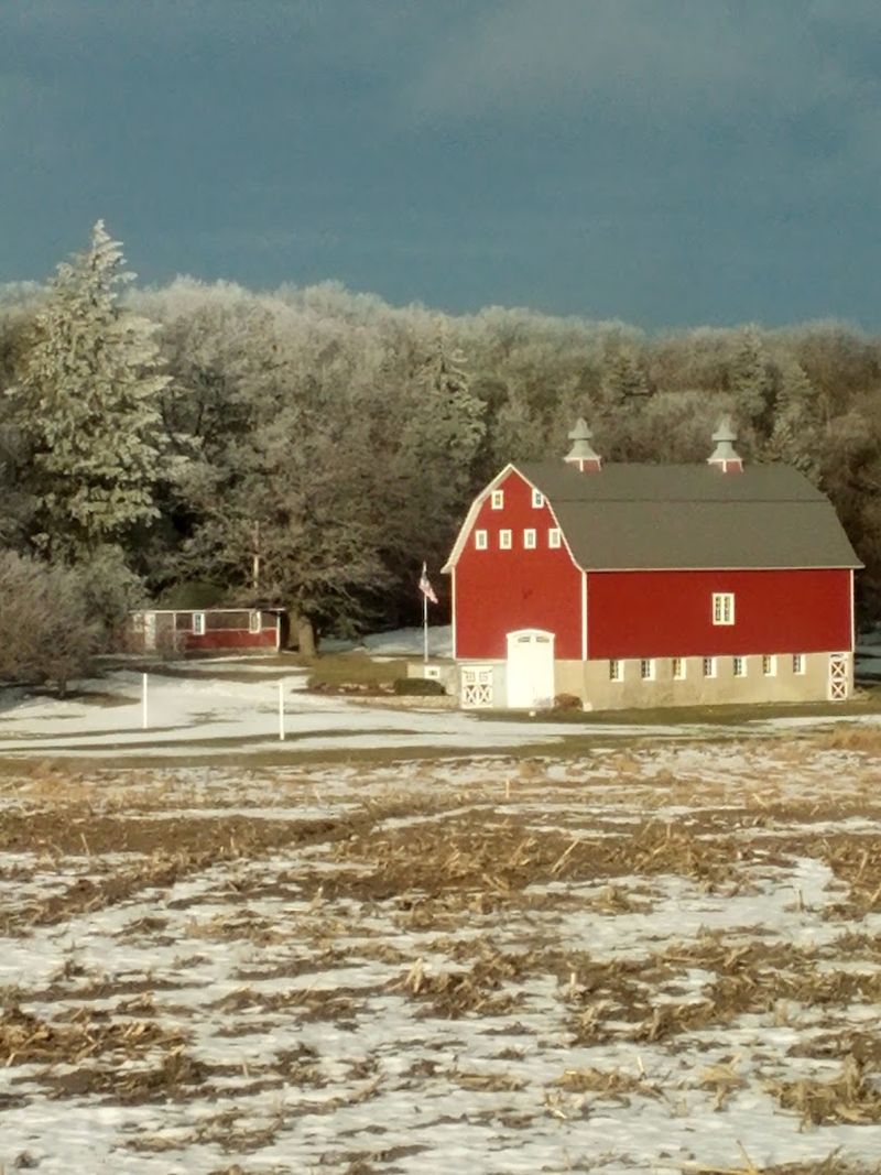 Fergus Falls