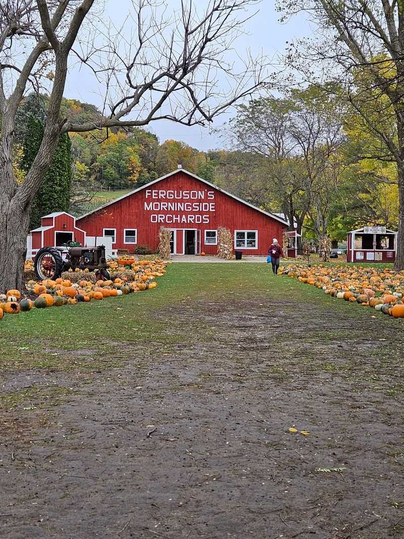 Ferguson's Orchards, Galesville Ferguson's Orchards, Galesville