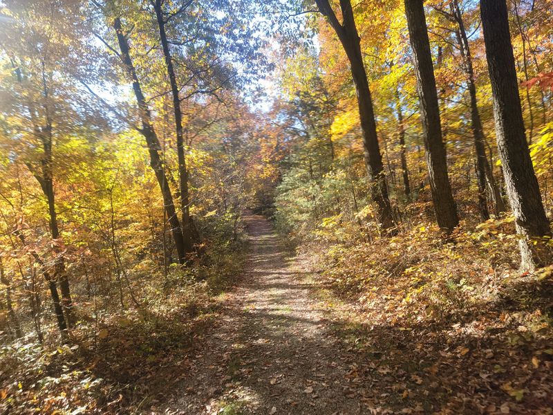 Fern Trail, Clear Creek Metro Park
