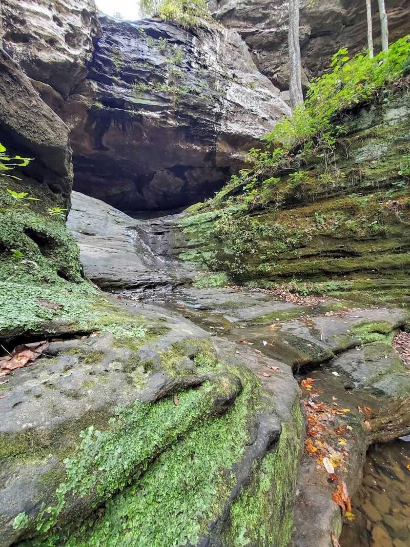 Practical Tips For Planning Your Visit