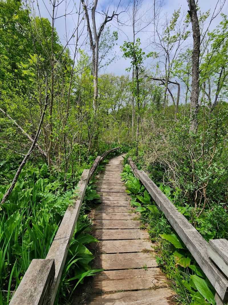Fernwood Botanical Garden And Nature Preserve