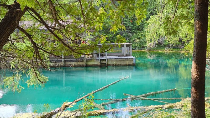 Palms Book State Park, Manistique