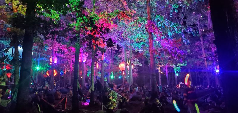 Festival Lights Glow Through The Trees