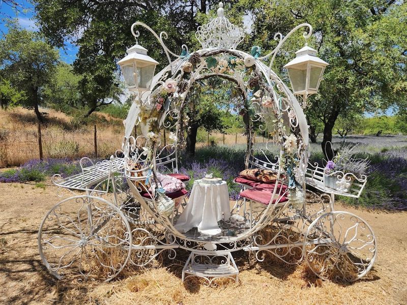 Festival That Gives The Farm Its Storybook Quality Festival That Gives The Farm Its Storybook Quality