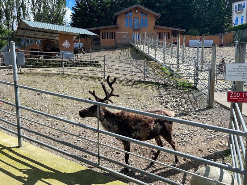 Festivals And Close Animal Encounters
