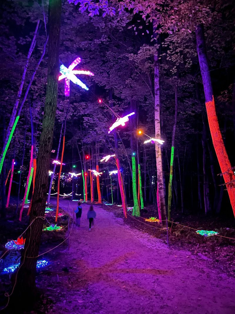 Festivals That Bring Everyone Together Festivals That Bring Everyone Together