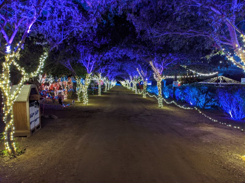 Festivals That Fill the Farm Calendar