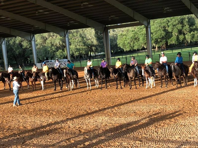 Festive Horse Shows And Community Events Festive Horse Shows And Community Events
