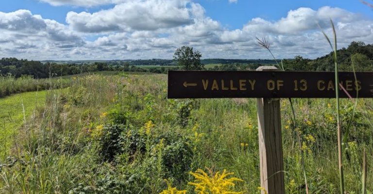 Few People Realize Iowa Is Home To This Stunning Limestone Canyon