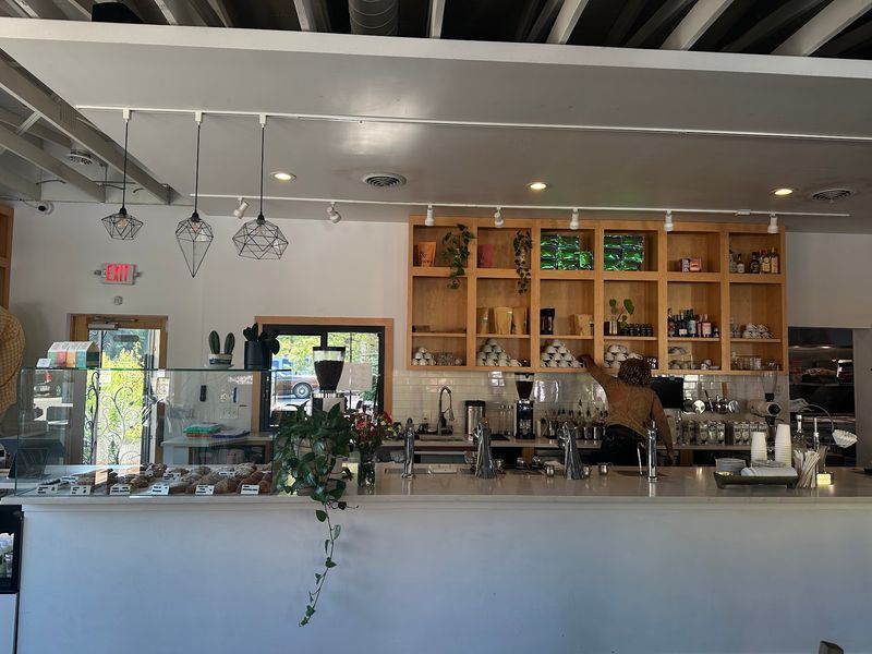 Fiddlehead Fern Cafe Fiddlehead Fern Cafe