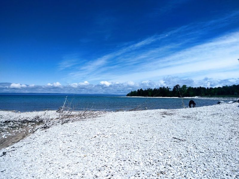 Rockhounding Shores And Forest Loops