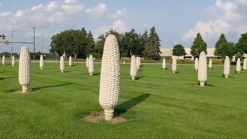 Field of Corn (with Osage Oranges), Dublin, Ohio
