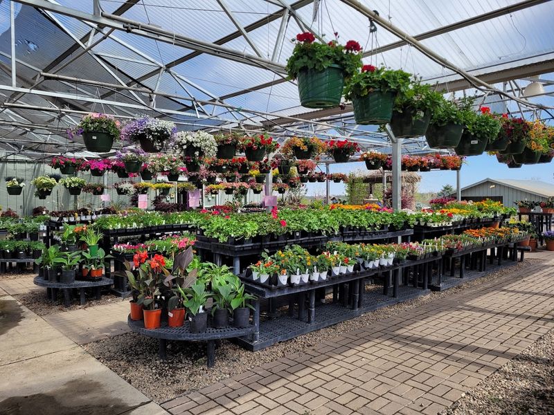 Fifteen Acres Built For Serious Plant Browsing Fifteen Acres Built For Serious Plant Browsing