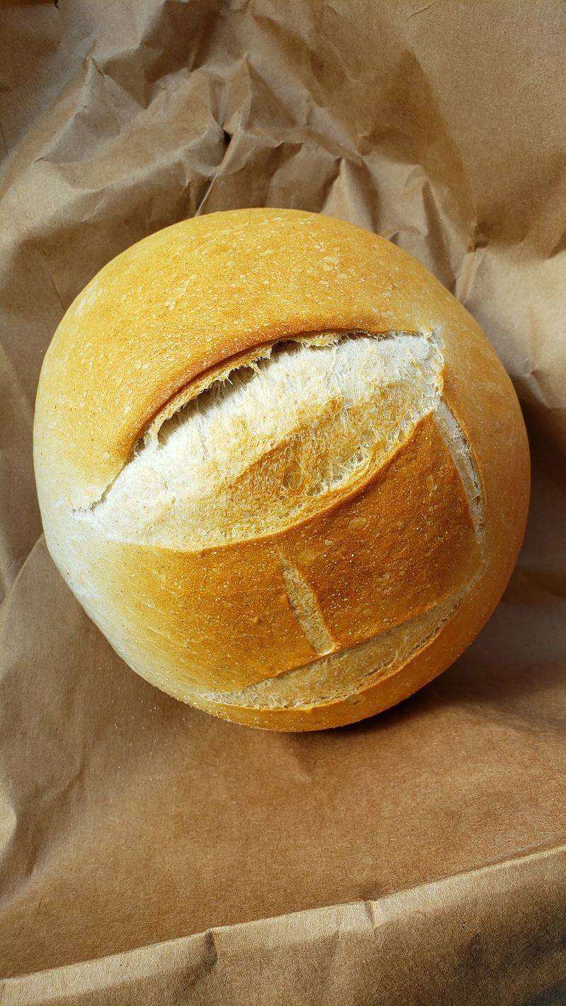 Fifteen Varieties Of Homemade Bread