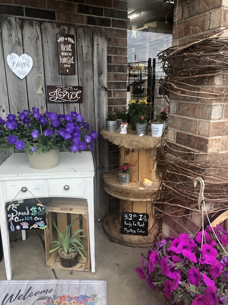 Lisa's Eagle Nest Flea Market, Alma