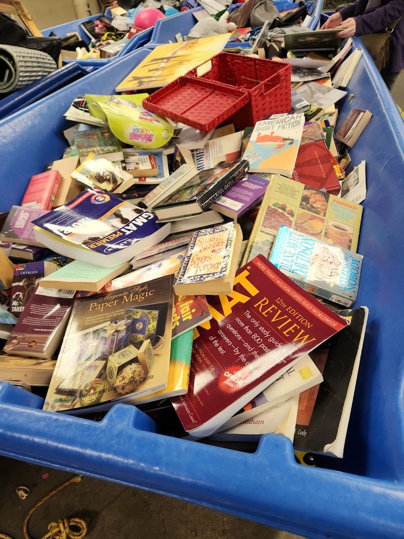 Daily Rotations Bring Fresh Finds Every Visit