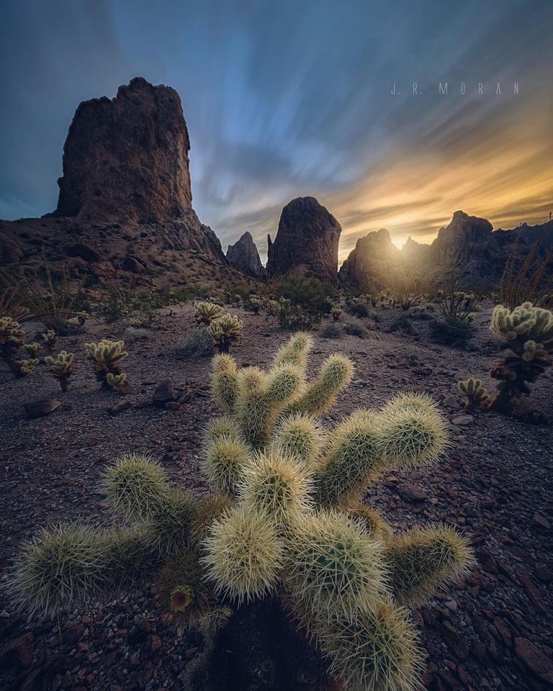 Find Native Palms Inside Kofa National Wildlife Refuge, Arizona