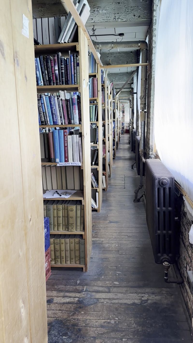 The Factory Bones Still Show