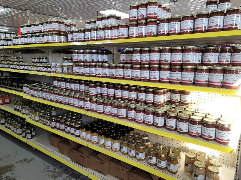 Bulk Bins Full Of Pantry Gold