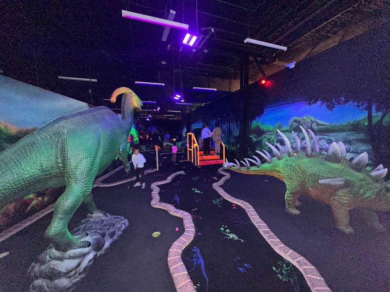 Raptor Encounters That Actually Teach You Something Real