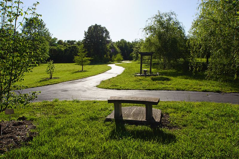 Finding Serenity In Bell Buckle Park