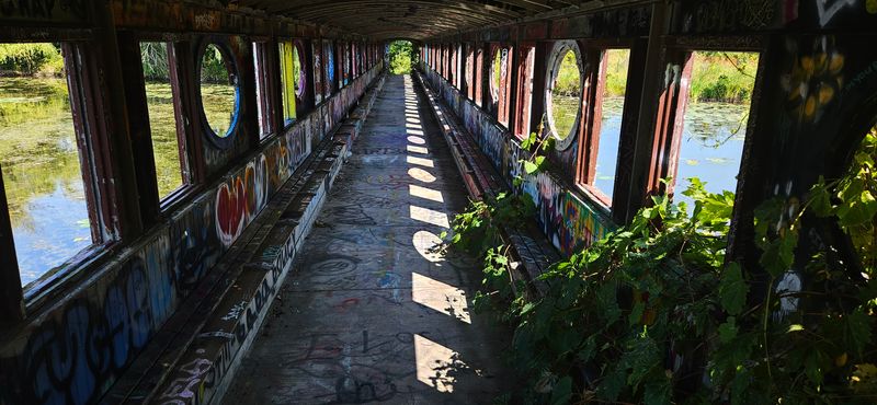 Reading The Layers Of Paint