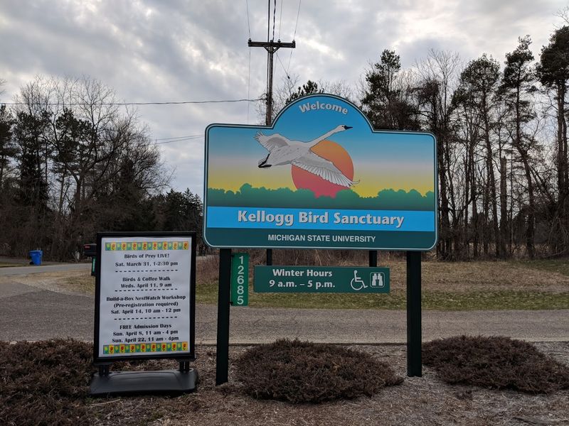 Finding The Bird Sanctuary