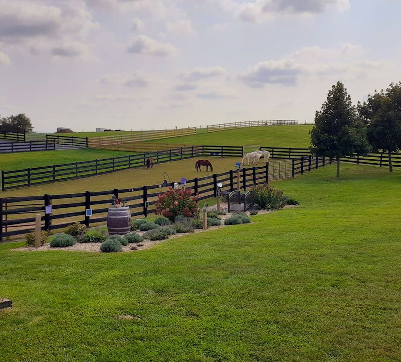 Finding The Farm At 2644 Cross Keys Road