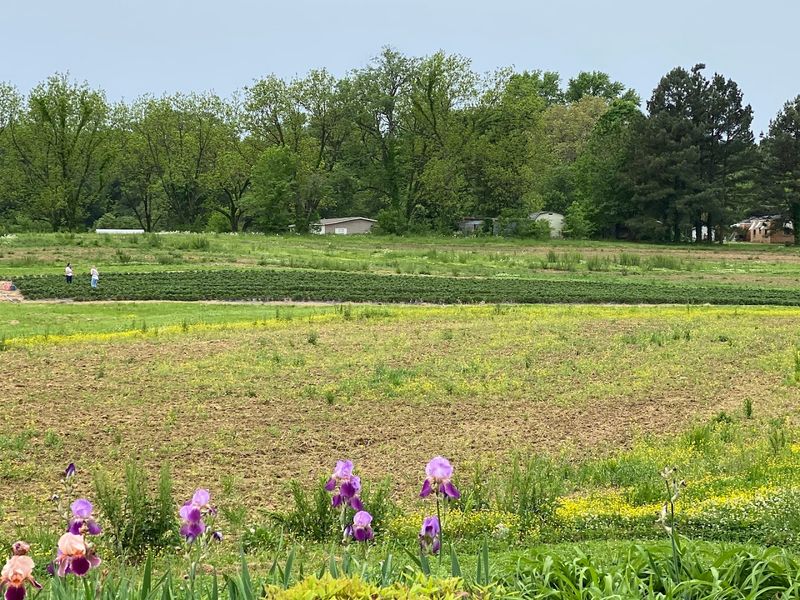 Finding The Farm At 7170 Highway 51 North