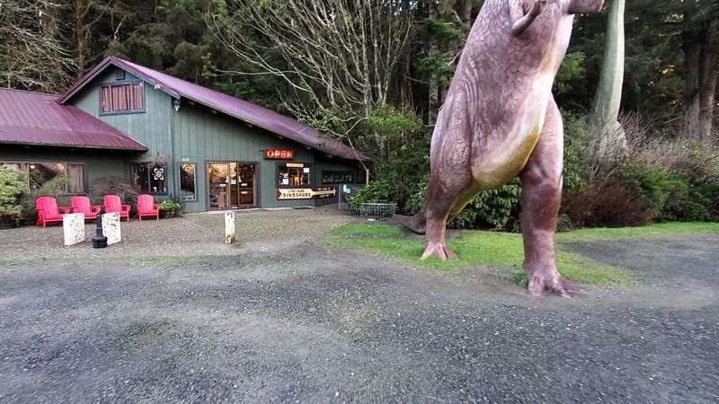 Finding The Park Along Highway 101