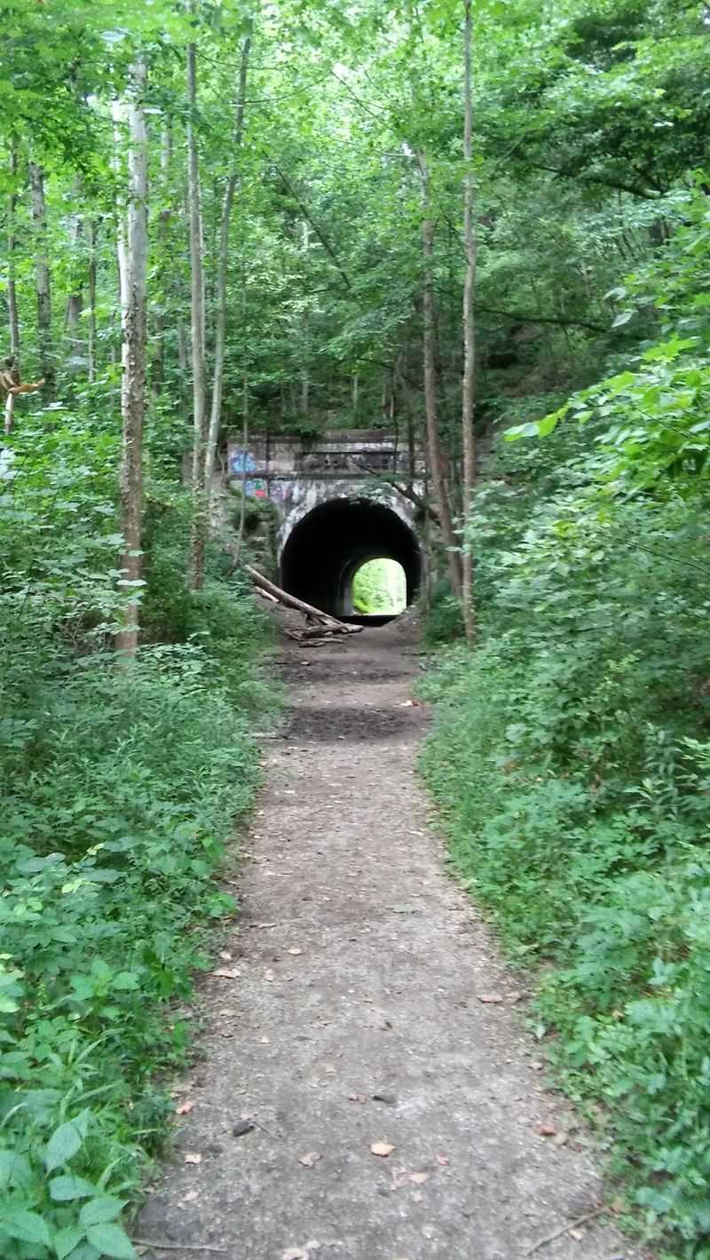 Reading Seasonal Quirks Like A Local Would