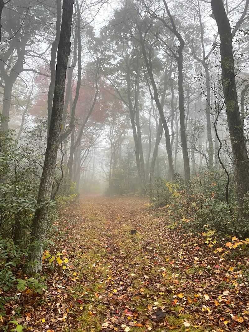The Gorge Turns Dramatic Fast And Every Second Feels Worth It