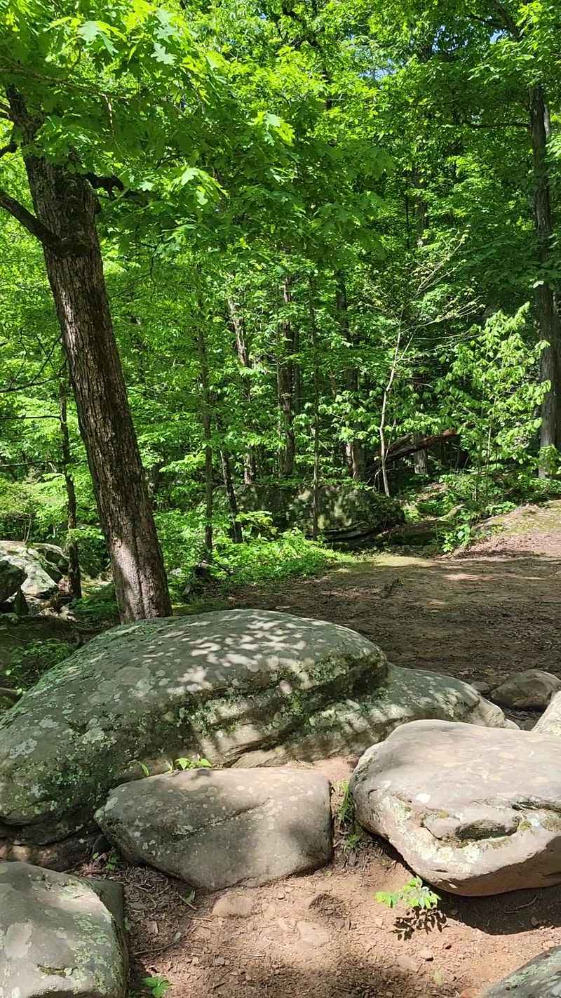 Descent Into The Sandstone Amphitheater