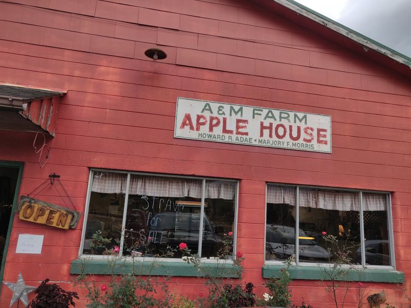 Finding This Country Orchard In Midland