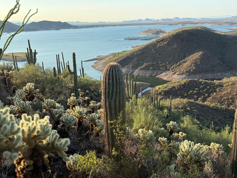 A Desert Oasis That Defies All Logic