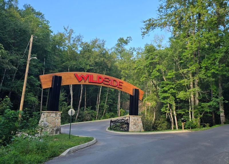 Finding WildSide Is Easier Than You Think