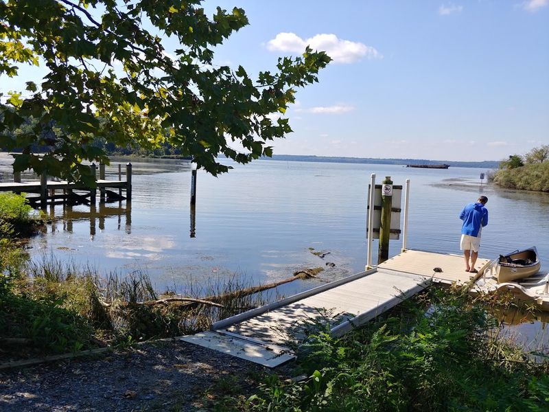  Finding Your Way To Mallows Bay Park