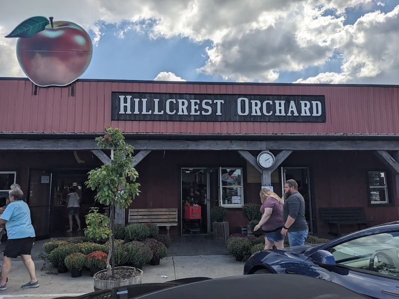 Apple Cider That Spoils You Forever