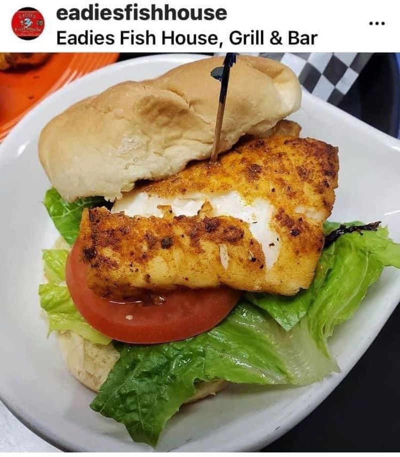 The Star of the Show