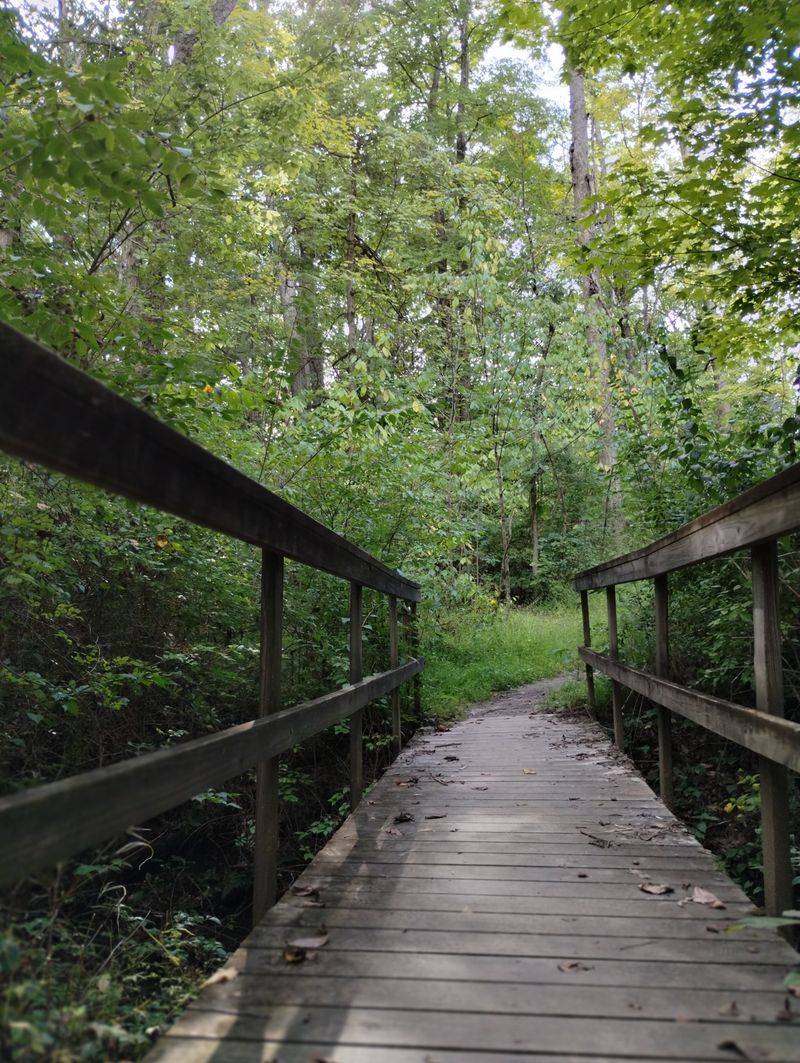 The Blue Trail Journey