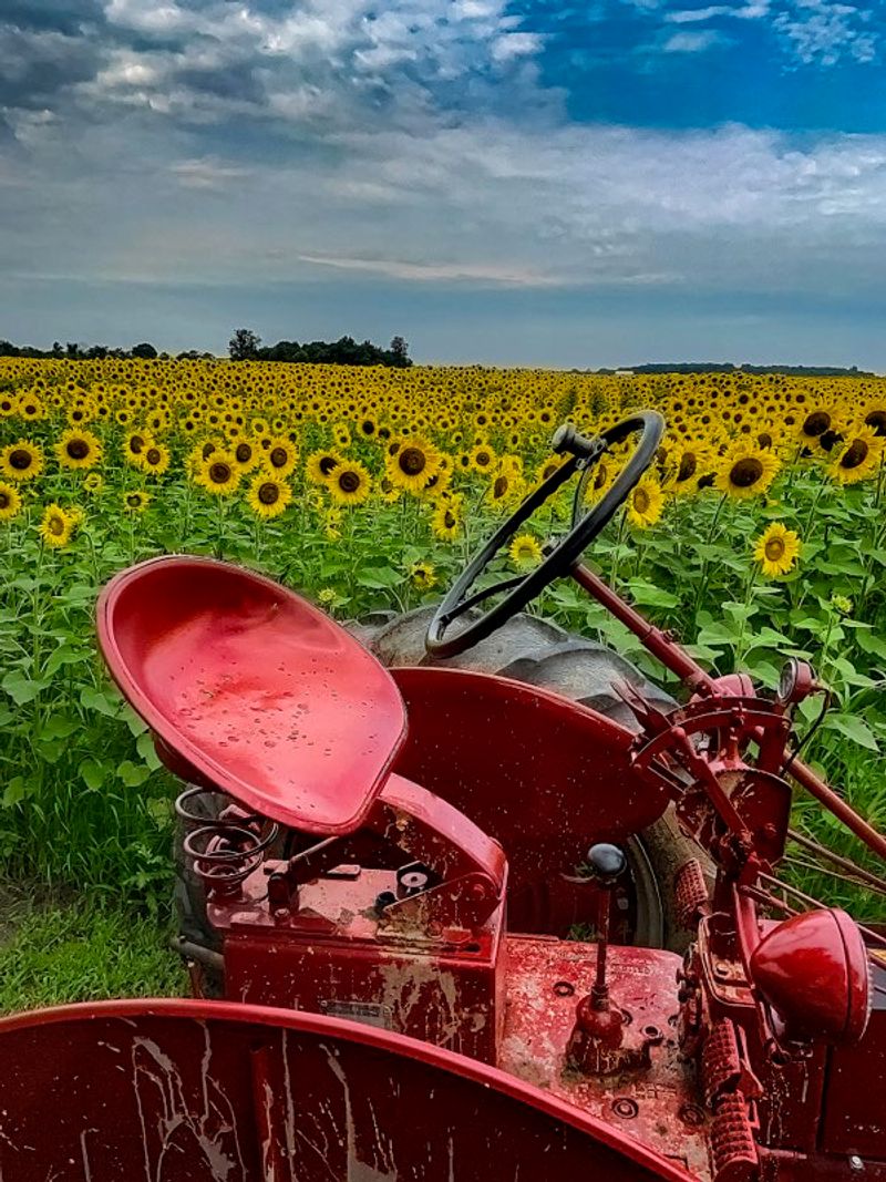 Finding the Field: Location and First Impressions