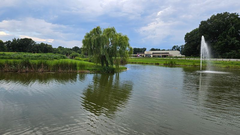 Finding the Lakeside Gem Off the Expressway Finding the Lakeside Gem Off the Expressway