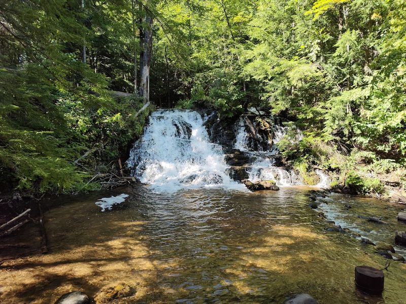 A Woodland Secret In Marquette