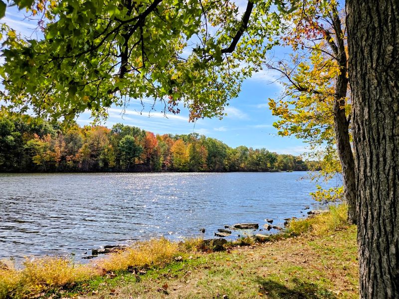 Findley State Park, Wellington Findley State Park, Wellington