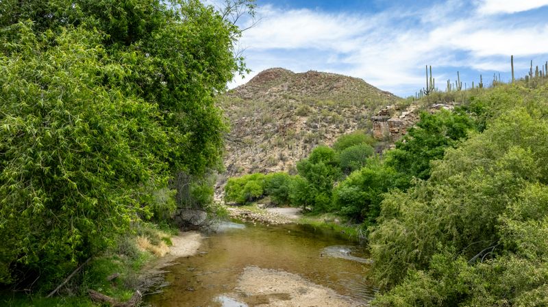 Sonoran And Mexican Influences Shape Everyday Eating